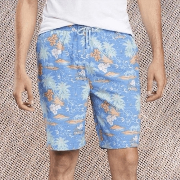 Peter Millar Other - Peter Millar Seaside Collection Swim Trunks